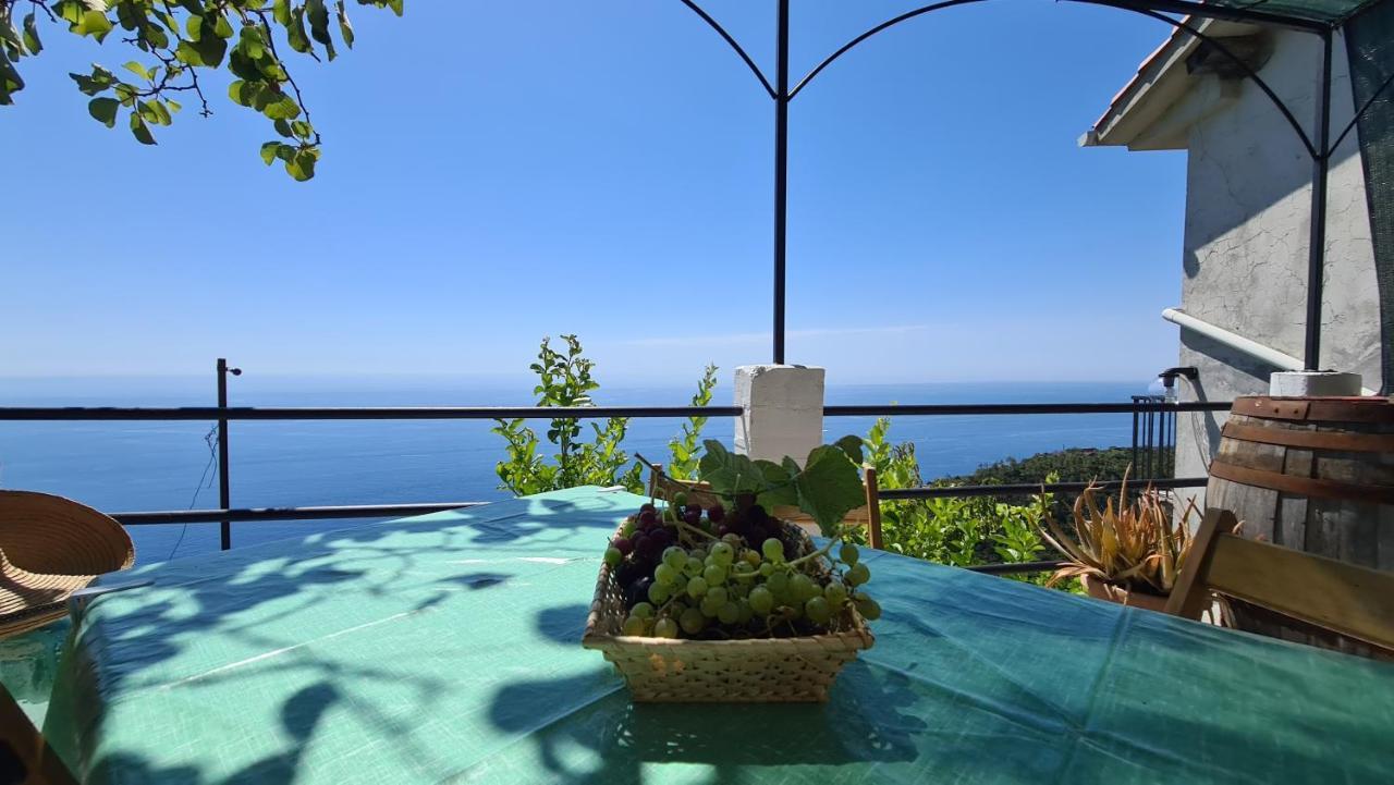 Sunset - Homy 5 Terre Retreat Apartment Biassa Bagian luar foto